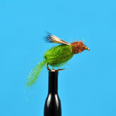 Sparkle Caddis Pupa Olive
