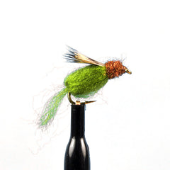 Sparkle Caddis Pupa Olive