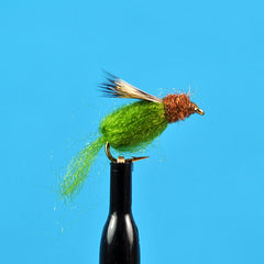 Sparkle Caddis Pupa Olive