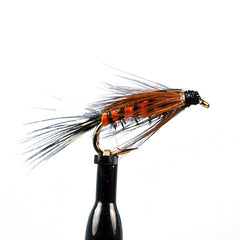 Tellico nymph orange