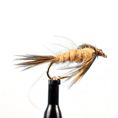 Catskill march brown