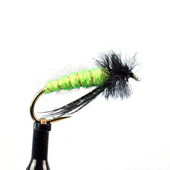 Little green rock worm