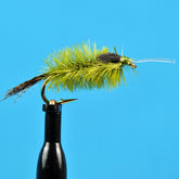 Ostrich blue wing olive