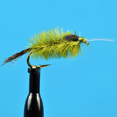 Ostrich blue wing olive