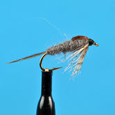 Quill gordon nymph