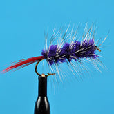 Woolly worm purple
