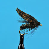 Alder fly wet