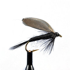 Black gnat wet fly