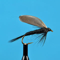 Black gnat wet fly