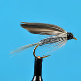 Blue dun wet fly