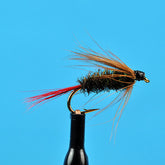 Brown hackle peacock