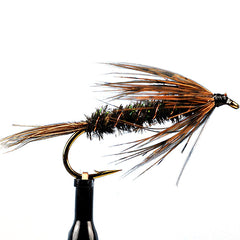 Carey special wet fly
