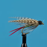 Grizzly king wet fly
