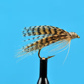 Light cahill wet fly