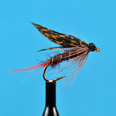 Montreal wet fly