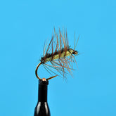 Crackle back chartreuse