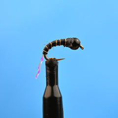 Tungsten Zebra Midge Black