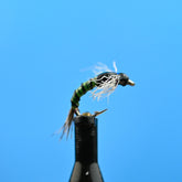 Juju Baetis Chartreuse