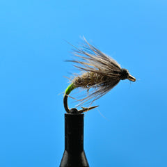 Soft Hackle Peeping Caddis