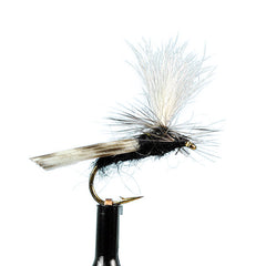 Parachute caddis black