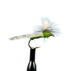 Parachute caddis olive