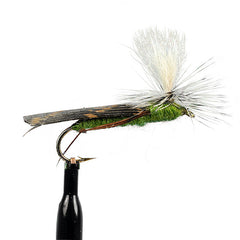 Parachute Hopper Olive