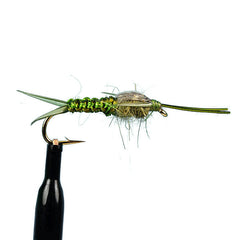 Woven stone fly nymph olive