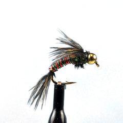 Bead head pheasant tail hot-wired