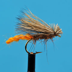 Caddis champ