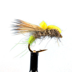 Caddis hammer olive