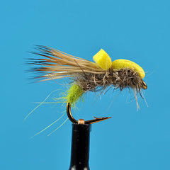 Caddis hammer olive