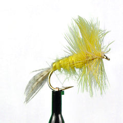 Big yellow may spinner