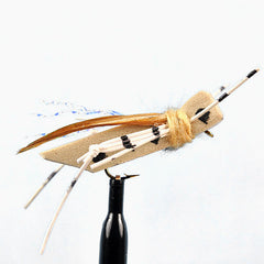 Tan foam hopper