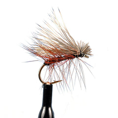 Elk hair caddis black