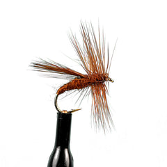 Fluttering caddis brown