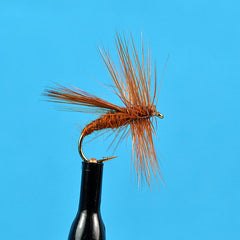 Fluttering caddis brown