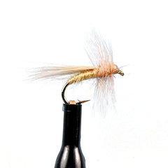 Fluttering caddis tan