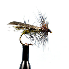 Henryville caddis