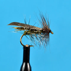 Henryville caddis