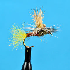 Ec caddis