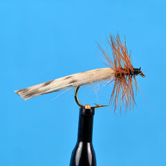 King river caddis