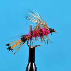 Palmered caddis pink