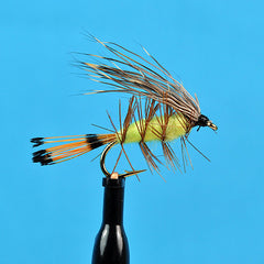 Palmered Caddis Yellow