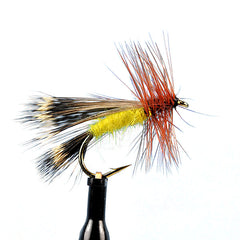 Deschutes caddis