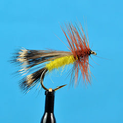 Deschutes caddis