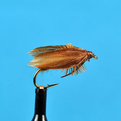 Slow water caddis brown