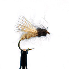 Stillborn elk caddis