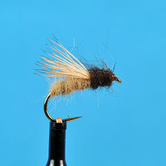 Stillborn elk caddis