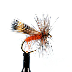 Woodchuck caddis