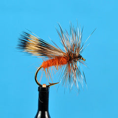 Woodchuck caddis